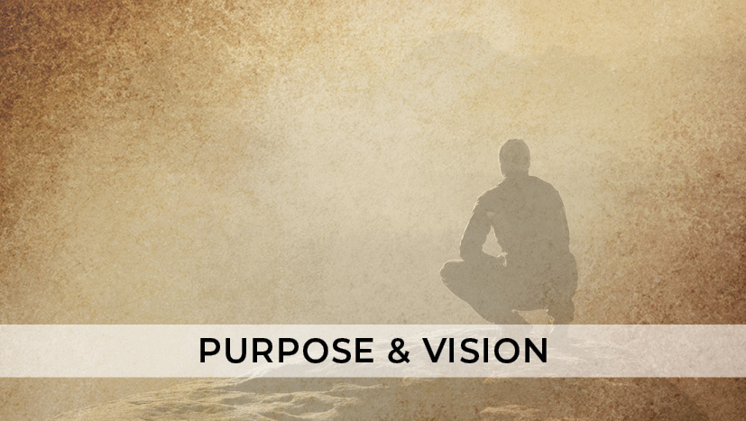 Purpose & Vision